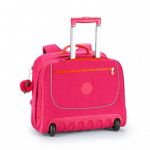�15358 ������ �� ������� CLAS DALLIN