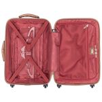 1669801 ������� Delsey Chatelet Trolley S 4w